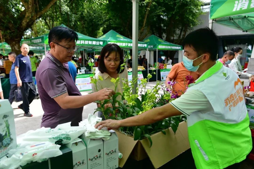 海南消费帮扶月活动_海南特色农产品集市_农产品特色