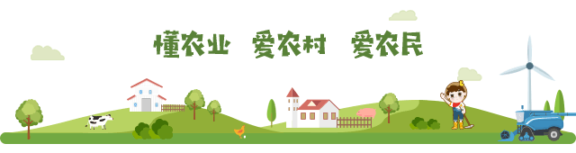 中国农产品加工投资贸易投洽会_广东农产品加工业百强企业_农产品加工行业