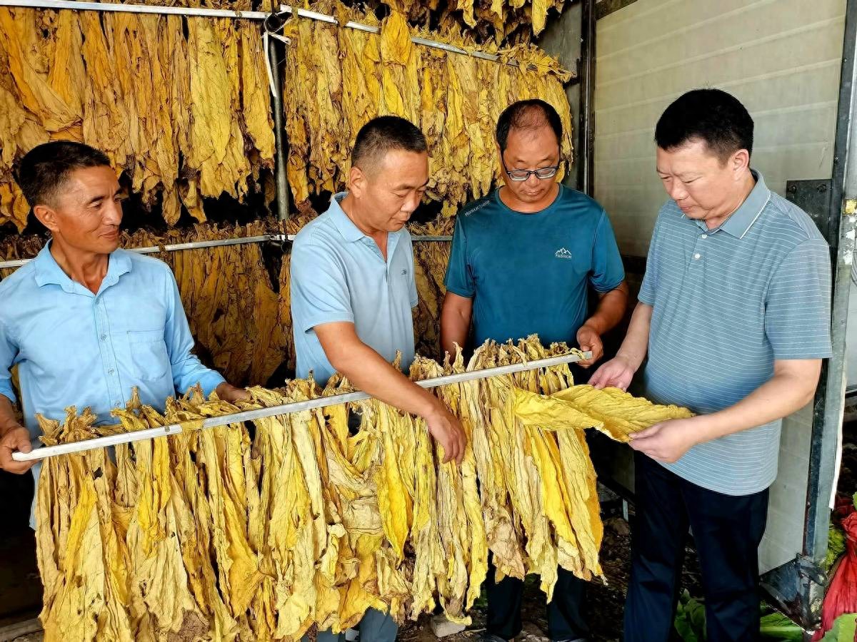 乡村振兴_农产品:药材烤房设备烧煤_智能烘烤
