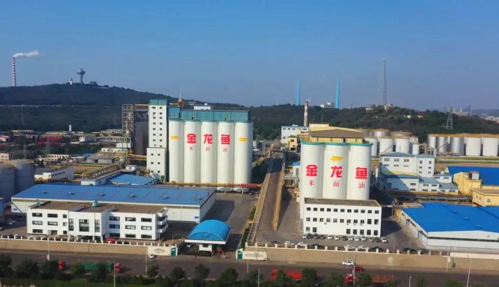 大豆油压榨量_农产品公司排名_中国大豆压榨业排名