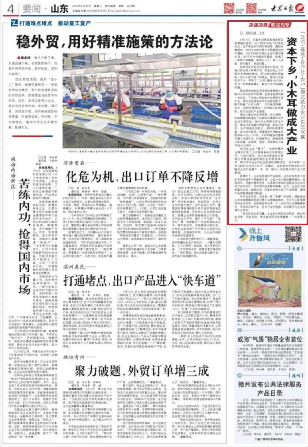 滕州市每年的农产品滞销_资本下乡 黑木耳产业模式 _ 公司基地合作社农户模式