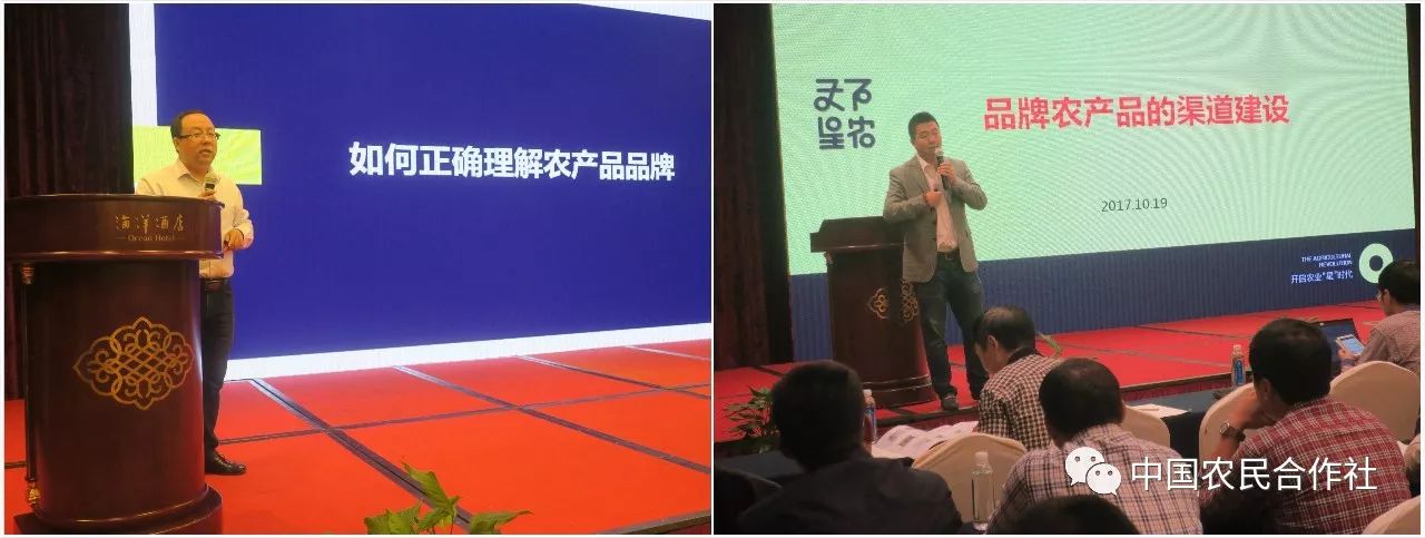 象山县农民合作社发展_农产品品牌塑造_浙江省象山县农业供给侧结构性改革