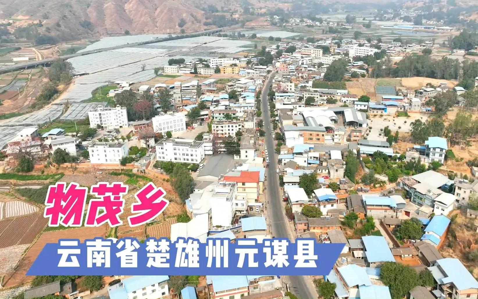 元谋农产品信息网_元谋县特色农产品种植_元谋县各乡镇农业发展