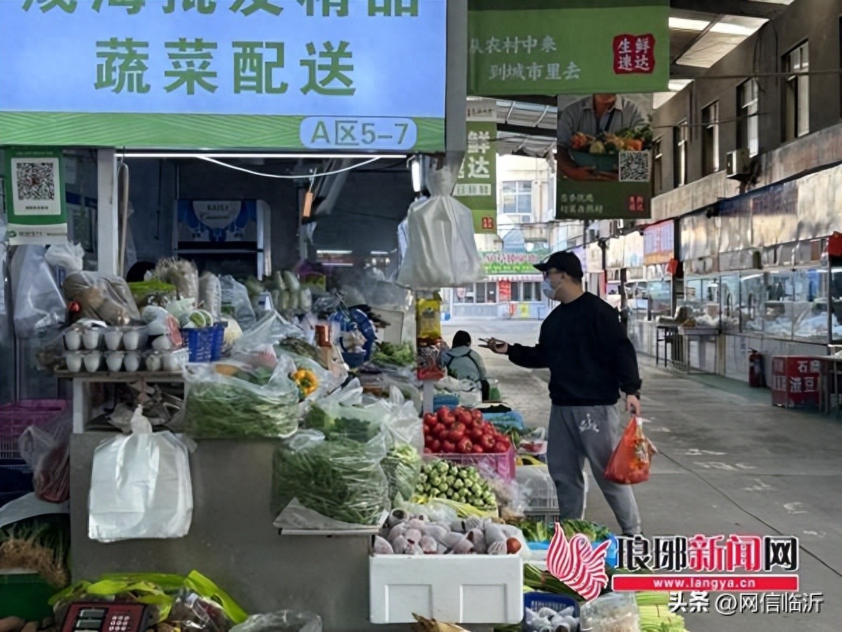 春风十里沂蒙如画，春菜走俏开启春日鲜味经济