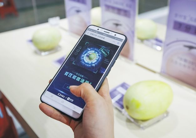 海南农业黑科技应用_海南数字农业转型_全国农产品加工业监测分析系统