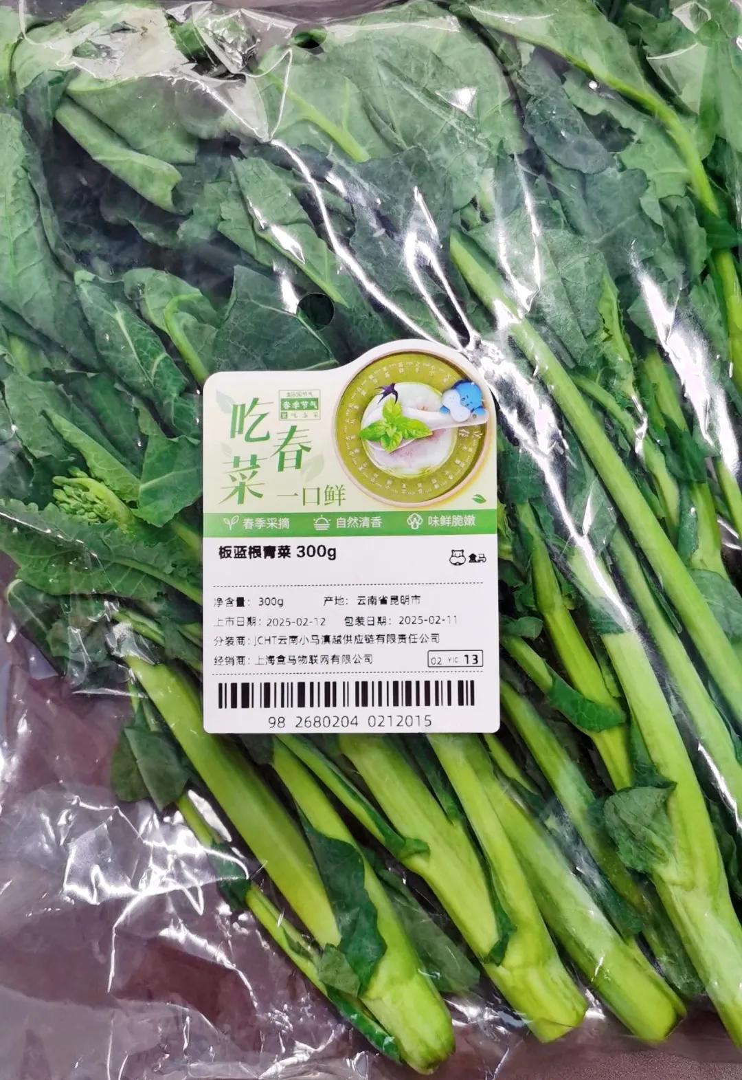 浙江农产品 价格_浙江春菜上市时间_板蓝根青菜做法