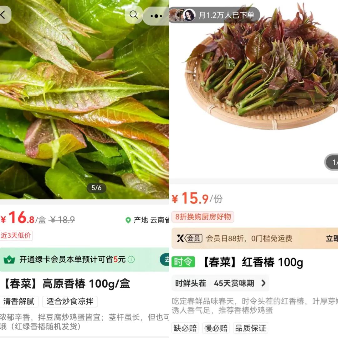 浙江春菜上市时间_板蓝根青菜做法_浙江农产品 价格