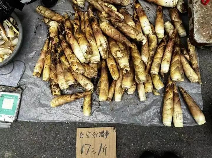 浙江农产品 价格_板蓝根青菜做法_浙江春菜上市时间
