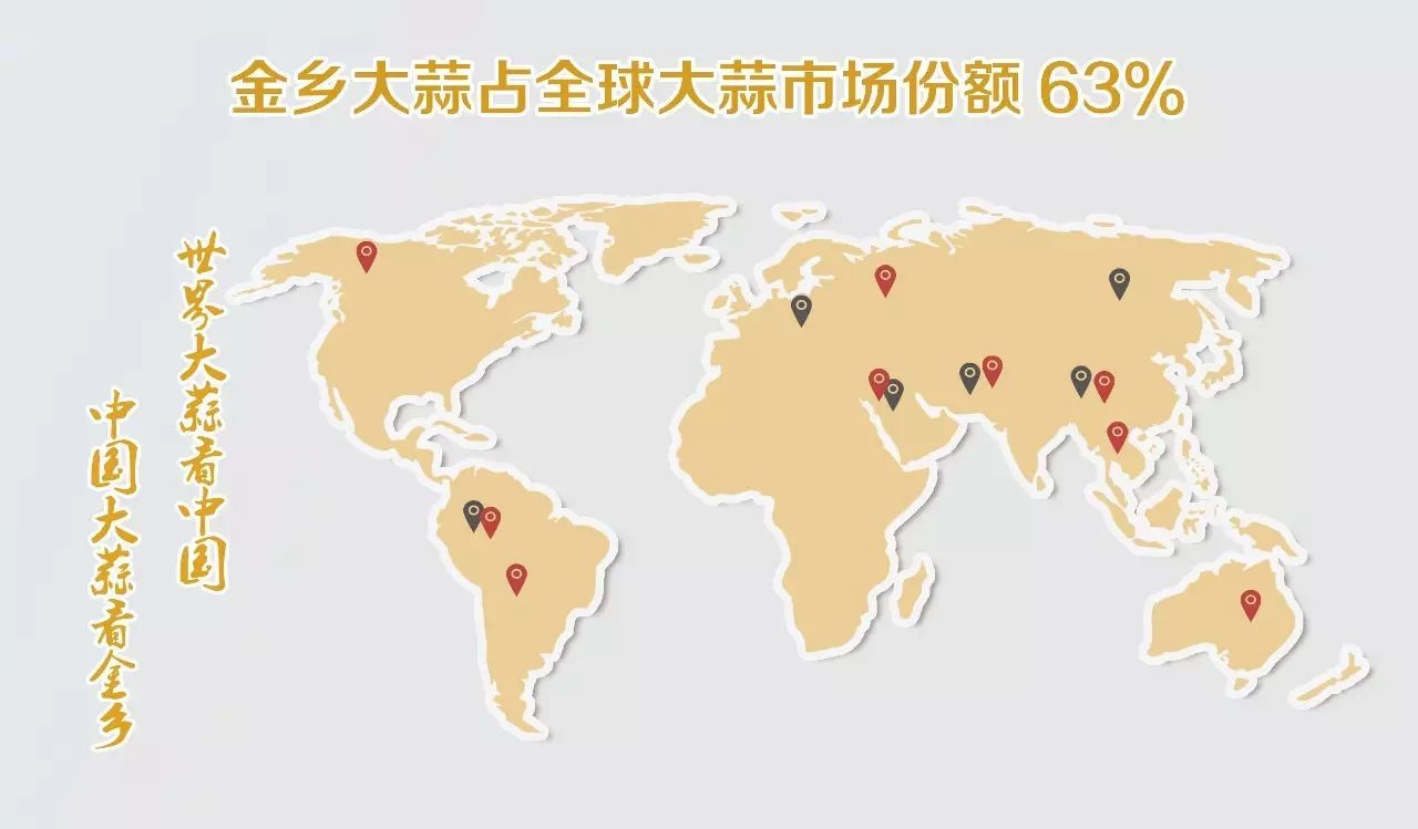 金乡大蒜国际地位_农产品地理标志的保护_金乡大蒜地理标志保护