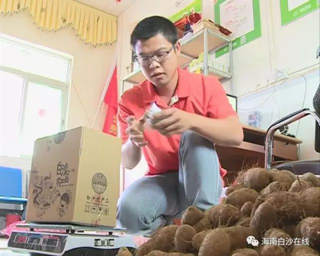 电商助力农民增收_全国农产品商务信息_农村淘宝农产品销售