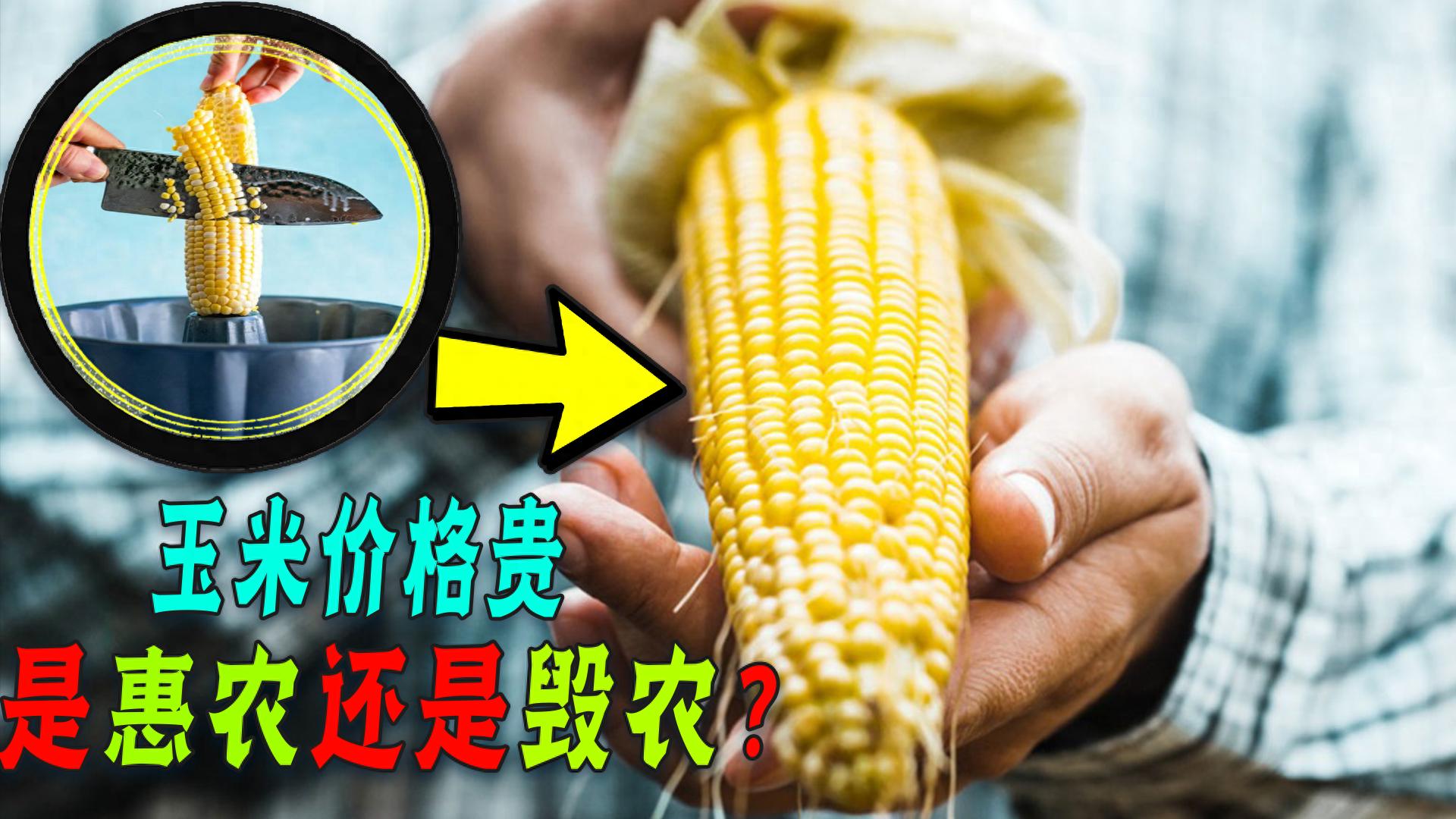 一穗玉米卖6元引舆论混战，谷贱伤农还是价格虚高？