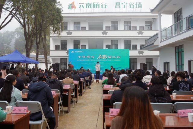 云南硒谷产业推广中心_硒谷功能农产品_昌宁县翁堵镇富硒茶