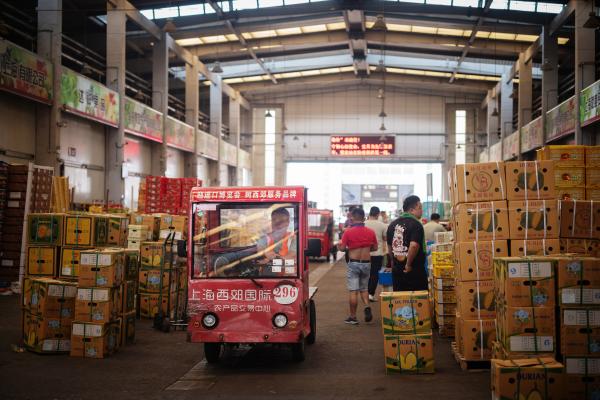 1.68元一斤假8424西瓜冲上热搜！西郊国际水果价几何？