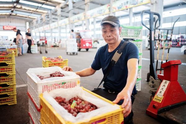8424西瓜批发价格_上海西郊国际农产品交易中心_西郊农产品交易中心
