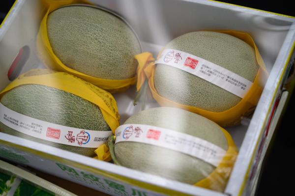 8424西瓜批发价格_上海西郊国际农产品交易中心_西郊农产品交易中心