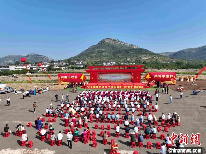 中国农民丰收节山东活动_田间地头农产品_山东各地丰收景象