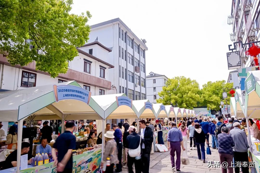 上海农产品展销会_奉贤供销市集今日青鲜溪畔春集_奉贤区乡村振兴供销市集模式
