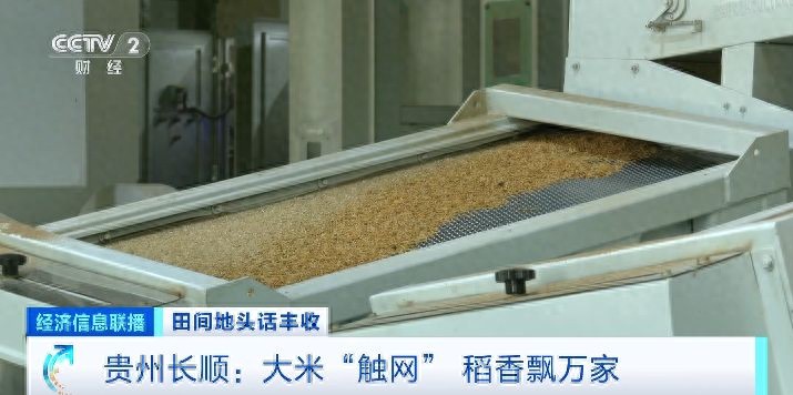 贵州农产品电商_贵州长顺县大米电商销售_长顺县大米生产企业销量增长