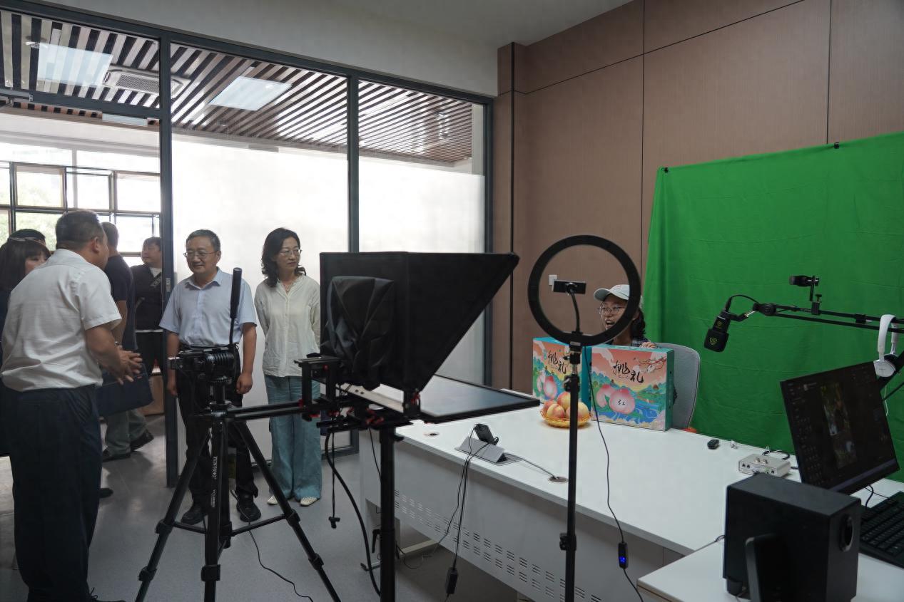 家乡农产品调研_电商助农模式 九合镇桃产业 数字化赋能乡村振兴