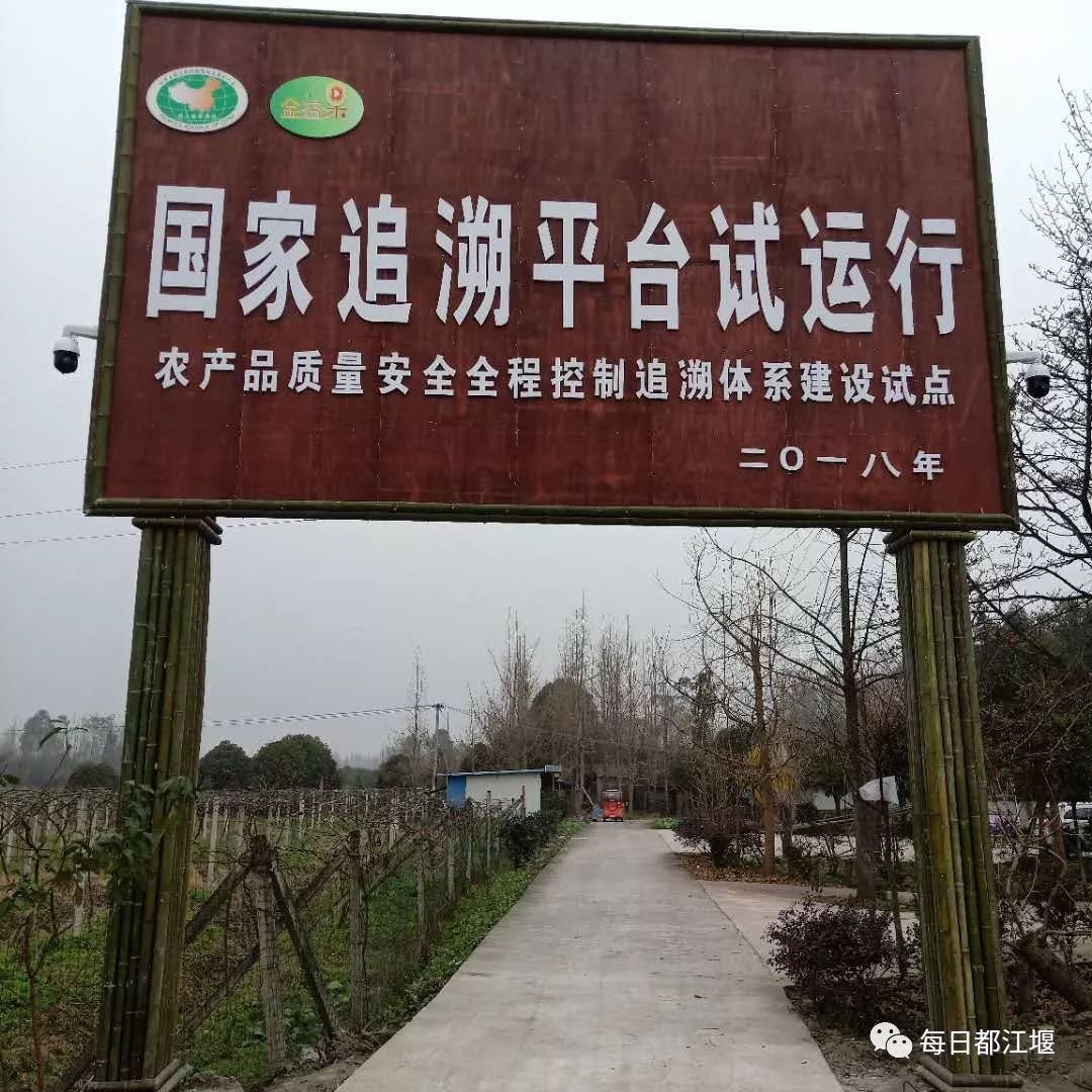 都江堰市农产品质量安全追溯管理_都江堰市国家农产品质量安全追溯平台试点_农产品质量安全追溯