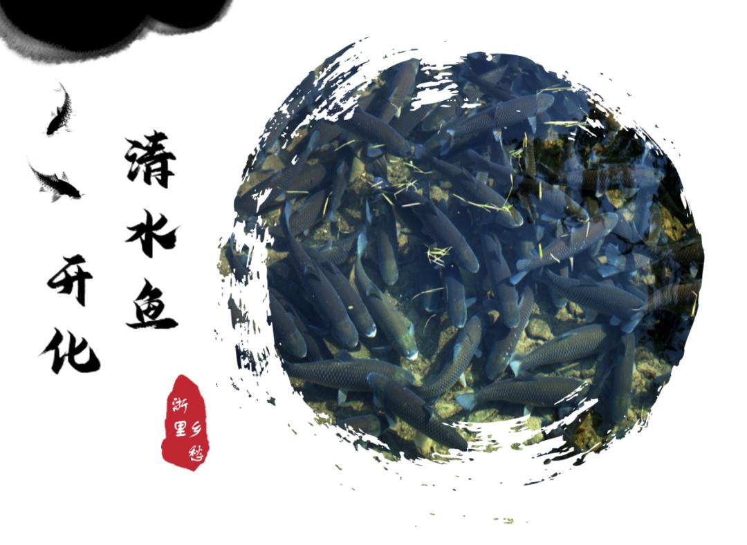 农产品 地理标志_安吉竹林鸡地理标志_浙江农产品地理标志