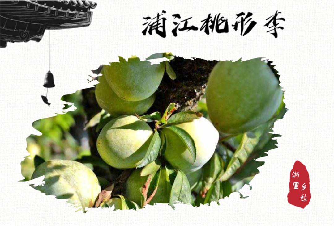 浙江农产品地理标志_安吉竹林鸡地理标志_农产品 地理标志