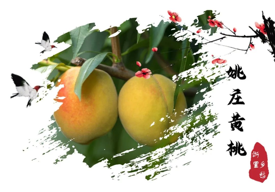 浙江农产品地理标志_安吉竹林鸡地理标志_农产品 地理标志