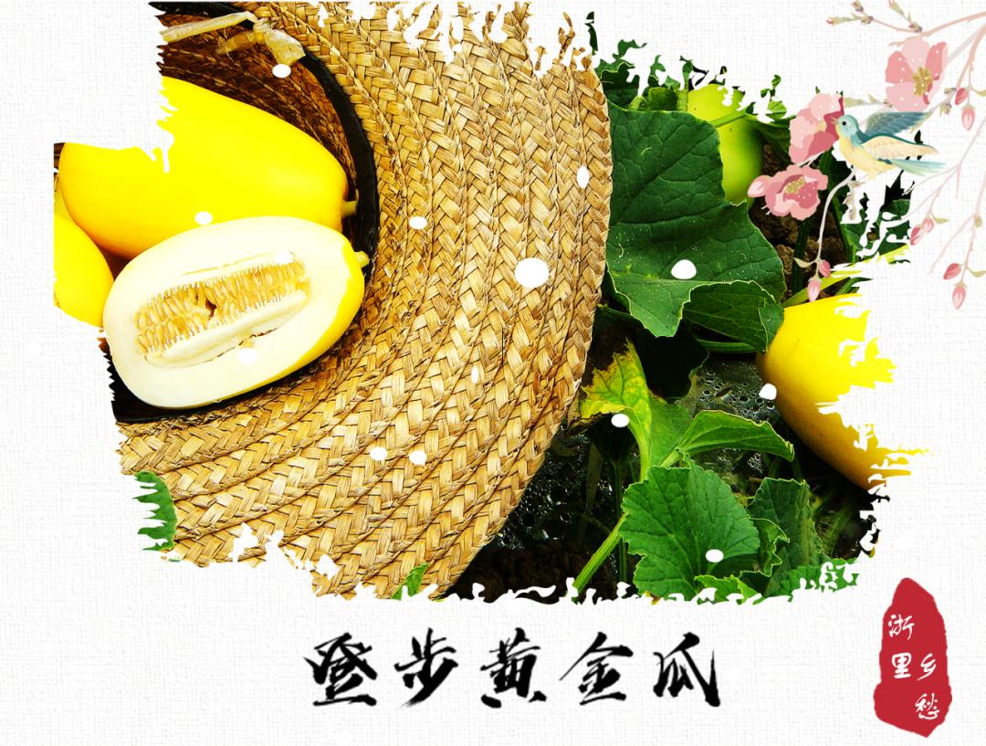 农产品 地理标志_浙江农产品地理标志_安吉竹林鸡地理标志