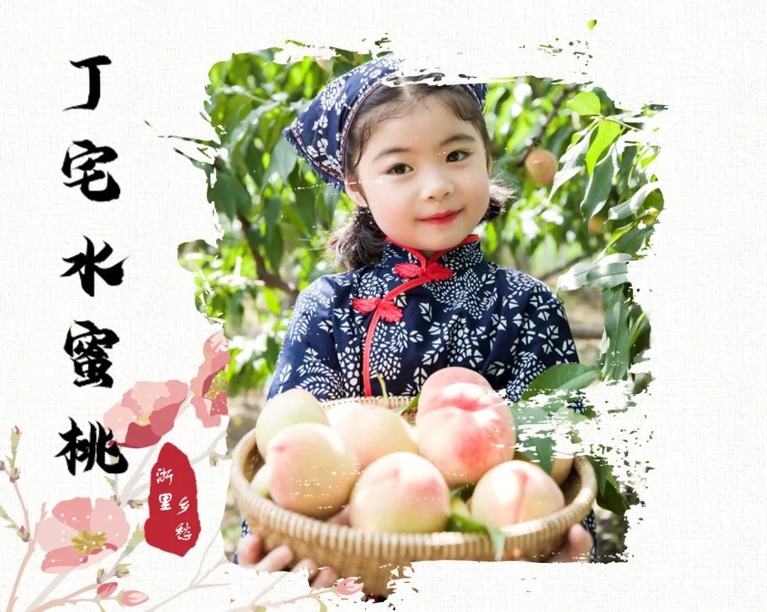 浙江农产品地理标志_农产品 地理标志_安吉竹林鸡地理标志