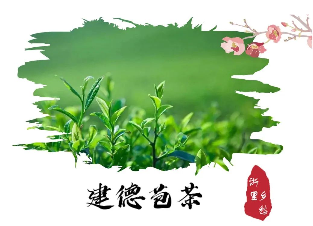 安吉竹林鸡地理标志_农产品 地理标志_浙江农产品地理标志