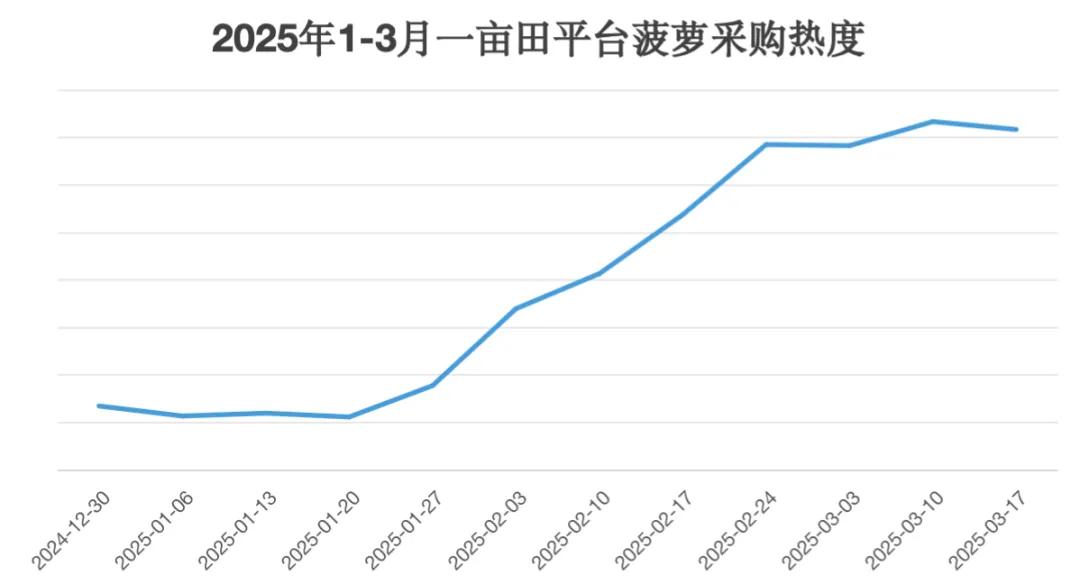 海南凤梨市场分析_徐闻菠萝价格行情_海南农产品物价