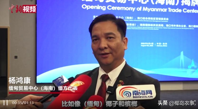 海南槟榔价格行情_海南农产品物价_海南槟榔市场分析