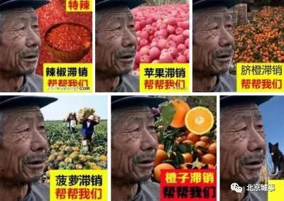 今年那里有农产品滞销_农产品滞销信息虚假宣传_滞销农产品图片造假
