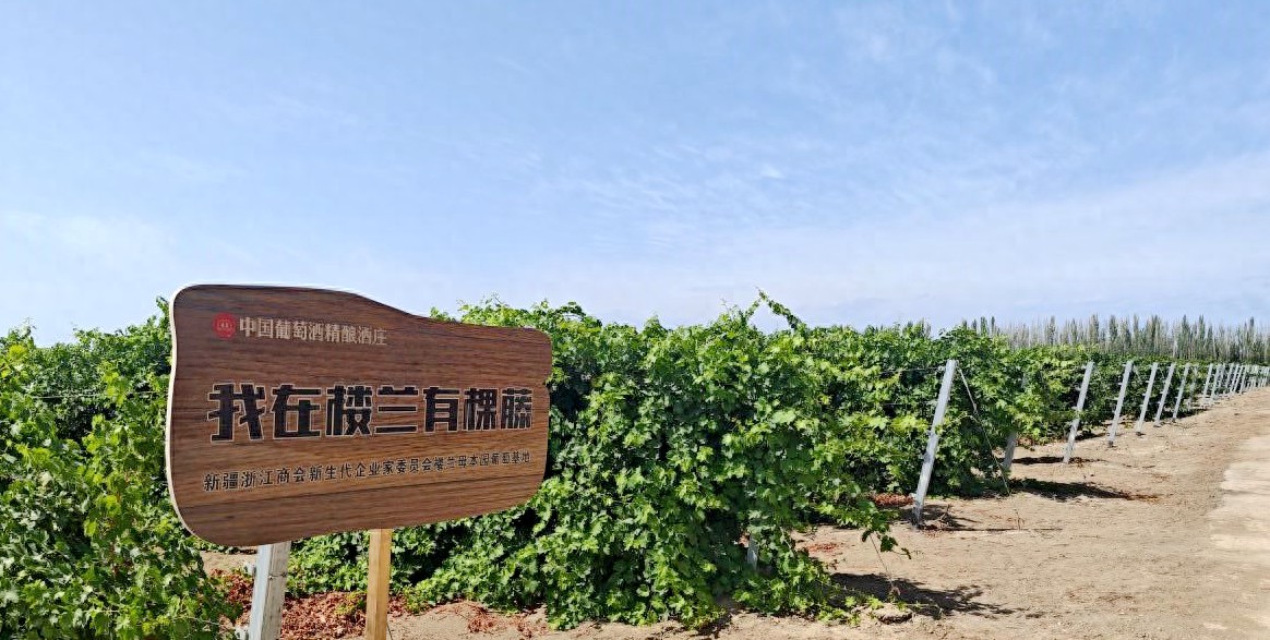 新疆吐鲁番葡萄酒产区：凭独特优势，让葡萄成区域发展‘金果果’