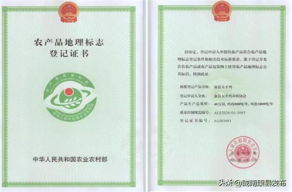 康县黑木耳地理标志农产品_康县太平鸡地理标志农产品_康县农产品流通网