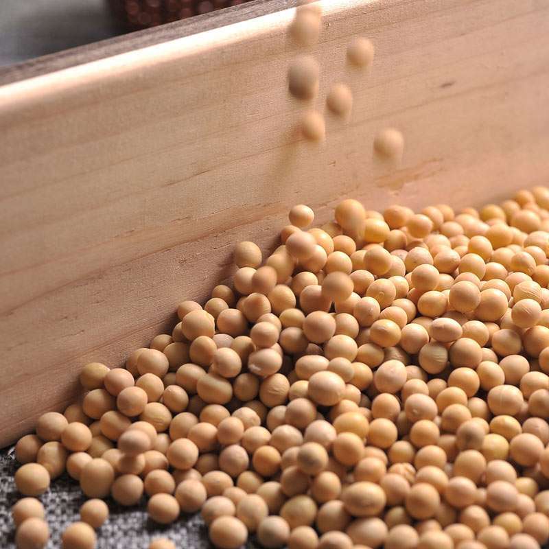 黑龙江农产品_黑龙江绿色农产品_富锦大豆全国知名品牌