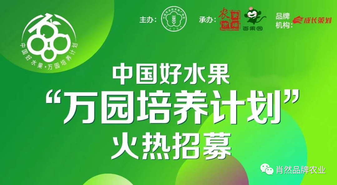淘宝农产品销量排行榜_农产品品牌打造策略_农产品电商直播销售