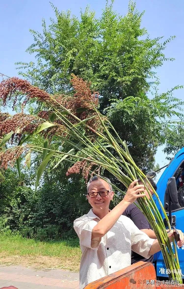 沈阳蒲河大集历史_沈阳赶集网农产品_蒲河大集民俗文化体验