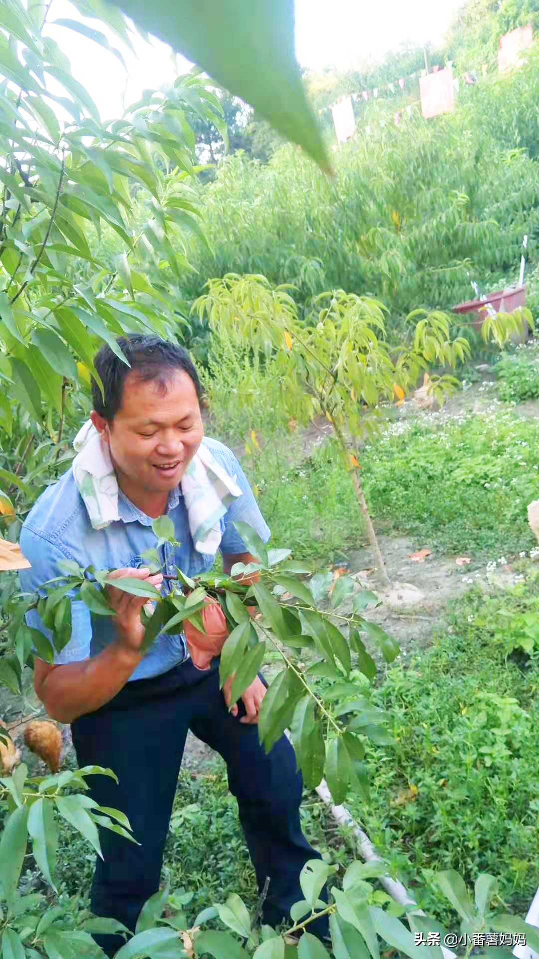 旷树红回乡创业_鳌江生态农庄_高端原生态农产品