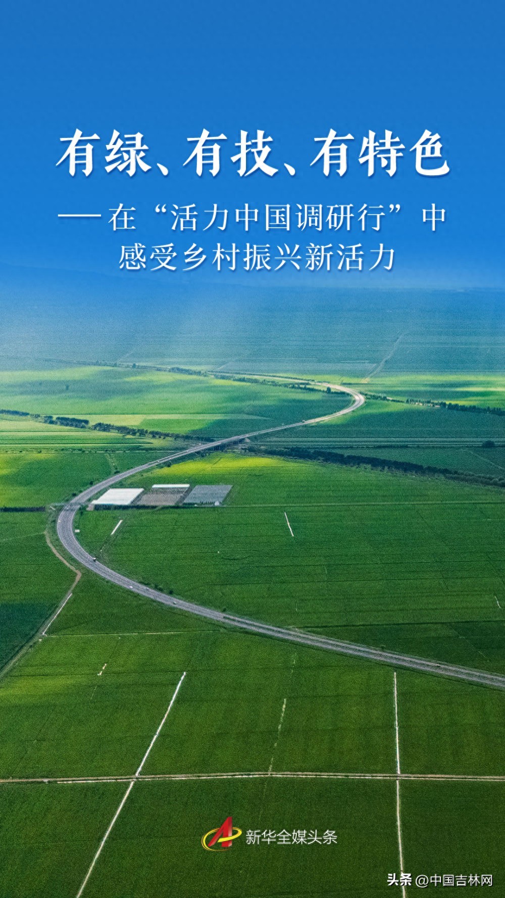 乡村振兴正当时！生态兴农、科技赋能助力高质量发展