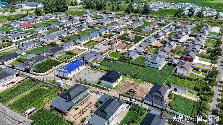 吉林农产品交易市场_生态农业发展_乡村振兴战略