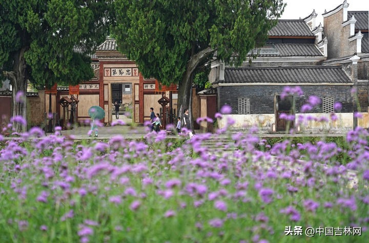 吉林农产品交易市场_乡村振兴战略_生态农业发展