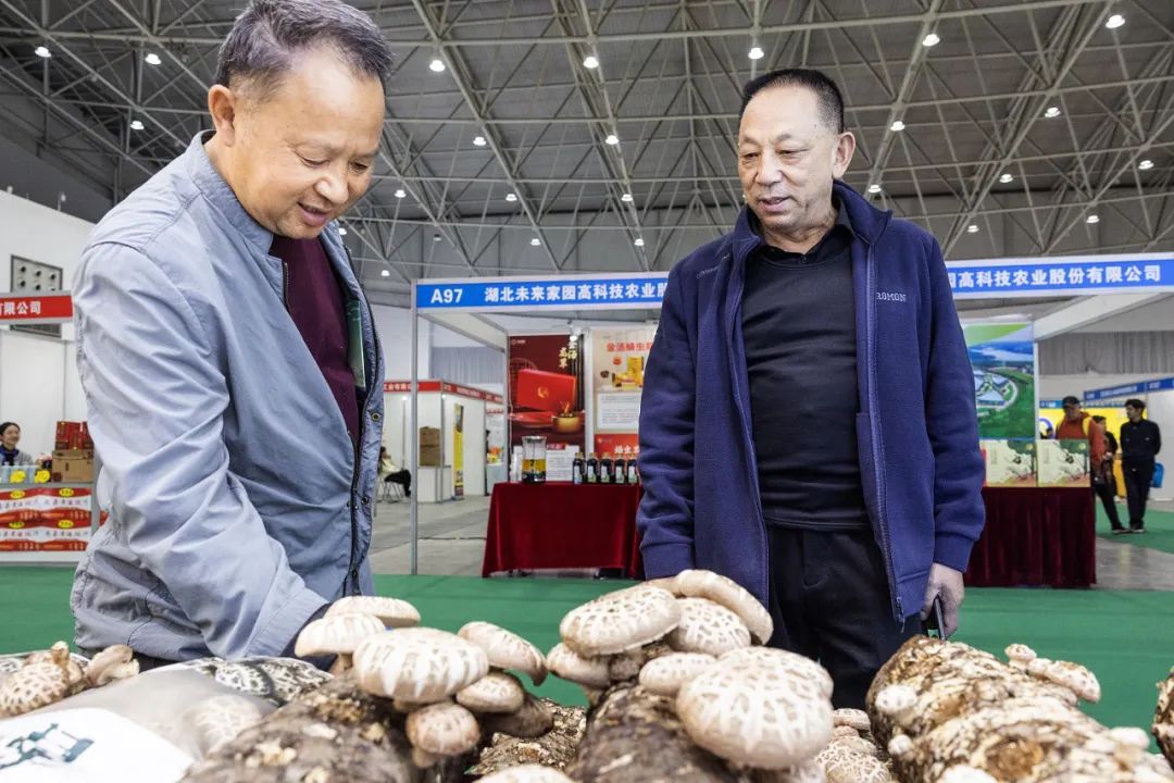 随州香菇品牌价值挖掘_随州农产品与物流的协调发展_随州香菇产业高质量发展