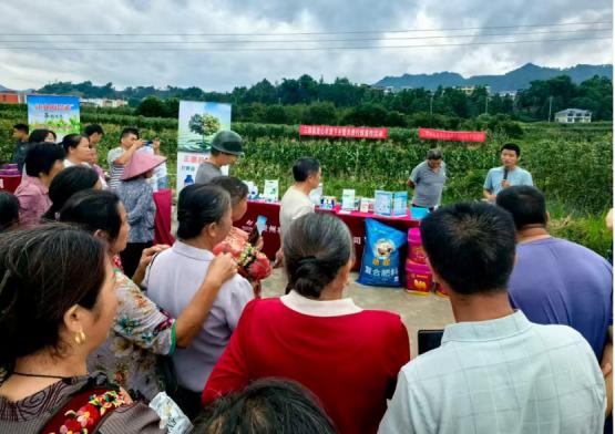 农资安全 绿色防控技术 茶叶种植_农产品质量安全培训班