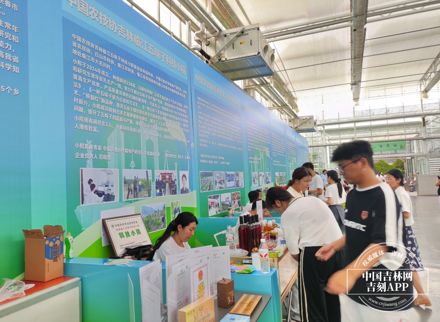 吉林农产品交易市场_中国长春国际农业食品博览会 吉字号农产品 吉林现代化大农业