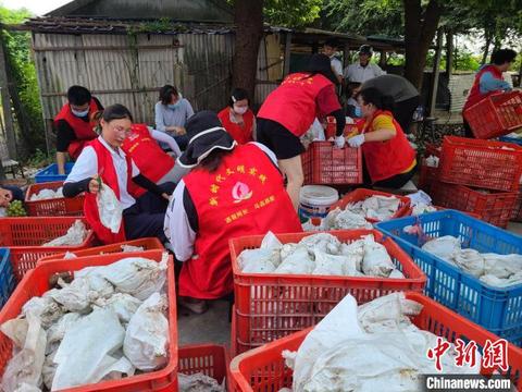 常州供销社助农滞销果品_农产品滞销的新闻_武进区阳湖村葡萄销售