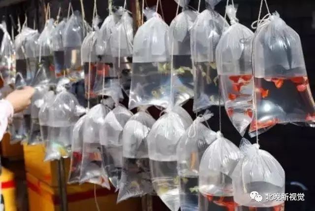 北京天意小商品批发市场_北京 农产品批发市场_北京万通新世界批发市场