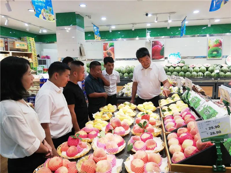 农产品招商_杨启明长沙考察农产品招商_玉屏皇桃产销对接