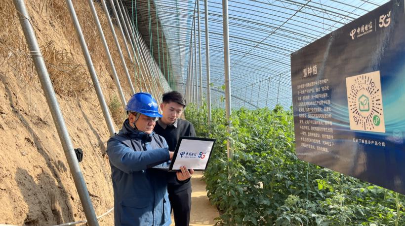 中国电信800M重耕工程_农产品溯源平台_山东农村5G数字化转型