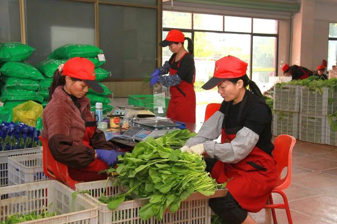 厦门市食品安全追溯体系_厦门食品安全可追溯系统_农产品溯源平台